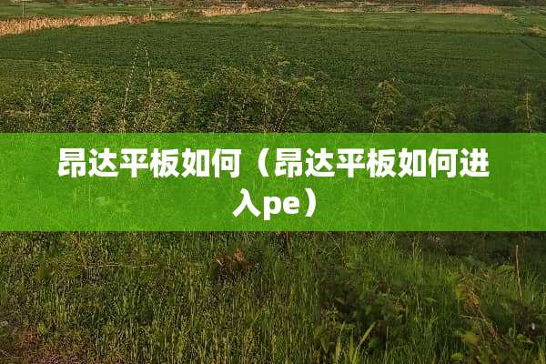 昂达平板如何（昂达平板如何进入pe）