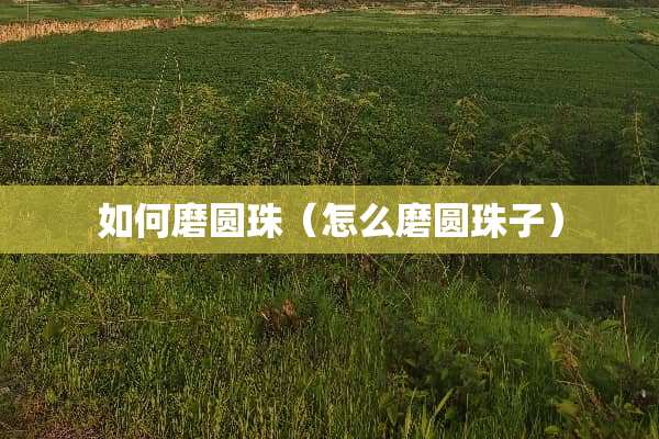 如何磨圆珠（怎么磨圆珠子）
