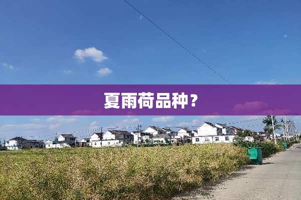 夏雨荷品种？