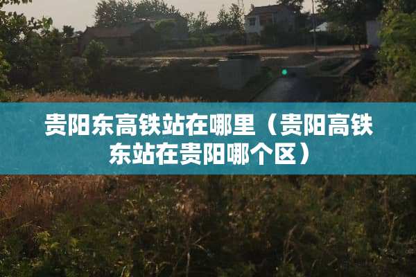 贵阳东高铁站在哪里（贵阳高铁东站在贵阳哪个区）