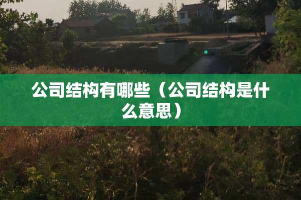 公司结构有哪些（公司结构是什么意思）