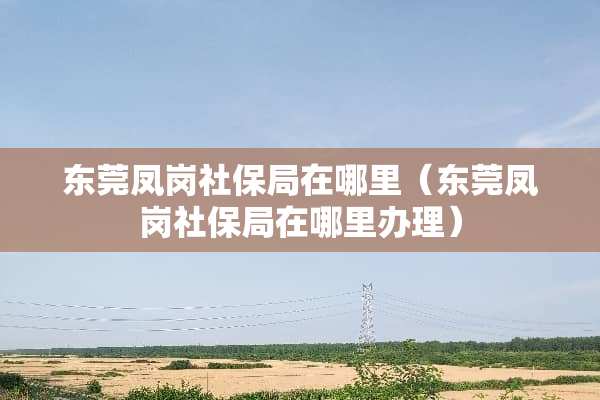 东莞凤岗社保局在哪里（东莞凤岗社保局在哪里办理）