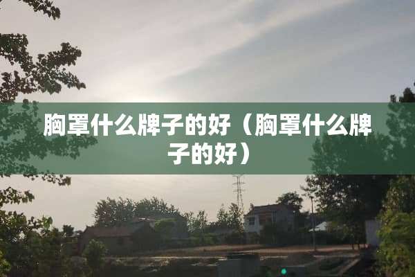**什么牌子的好（**什么牌子的好）