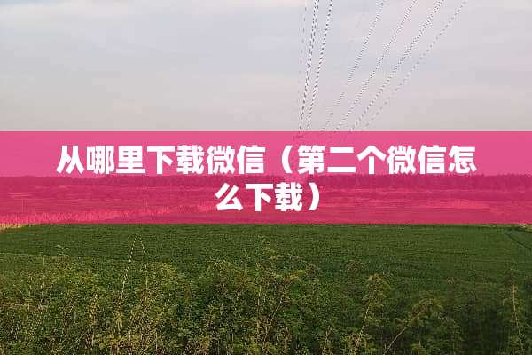 从哪里下载微信（第二个微信怎么下载）