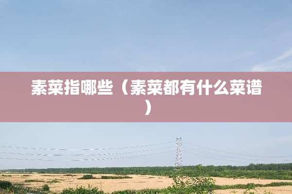 素菜指哪些（素菜都有什么菜谱）