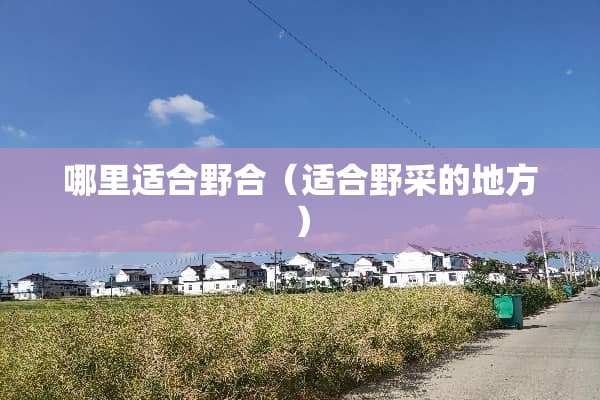 哪里适合野合（适合野采的地方）