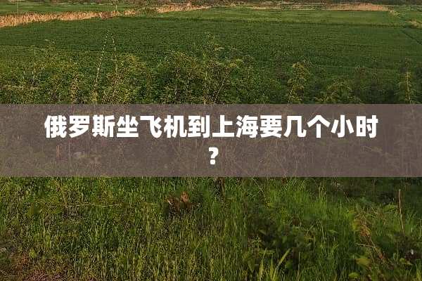 俄罗斯坐飞机到上海要几个小时？