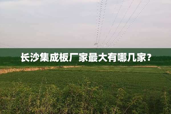 长沙集成板厂家最大有哪几家？