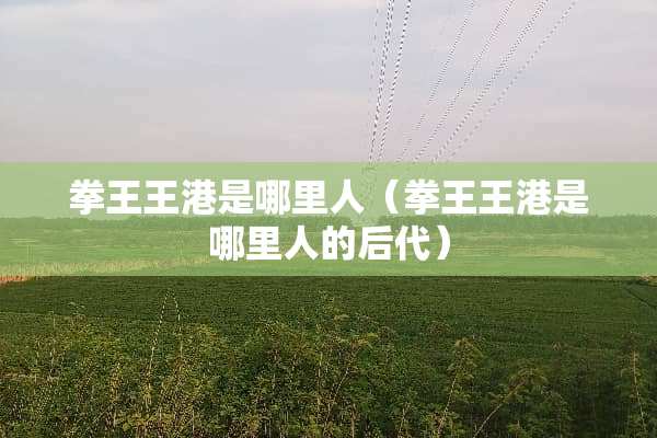拳王王港是哪里人（拳王王港是哪里人的后代）