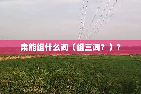 肃能组什么词（组三词？）？