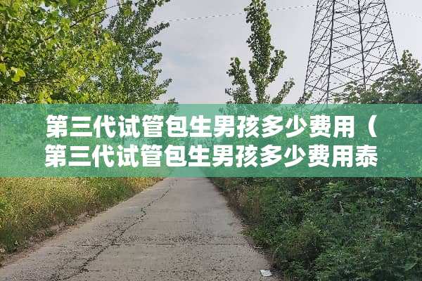 第三代试管包生男孩多少费用（第三代试管包生男孩多少费用泰国）