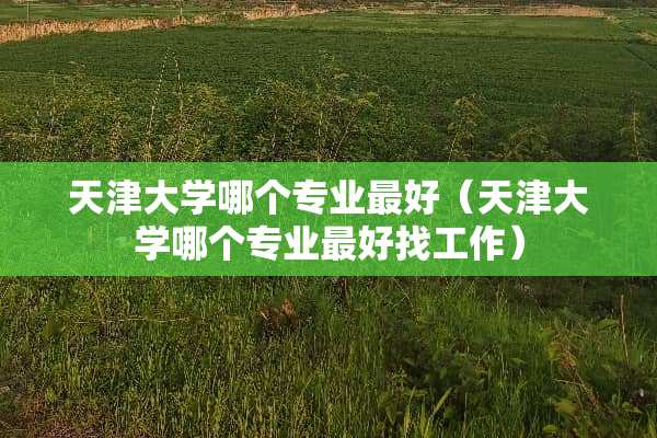 天津大学哪个专业最好（天津大学哪个专业最好找工作）