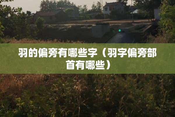 羽的偏旁有哪些字（羽字偏旁部首有哪些）