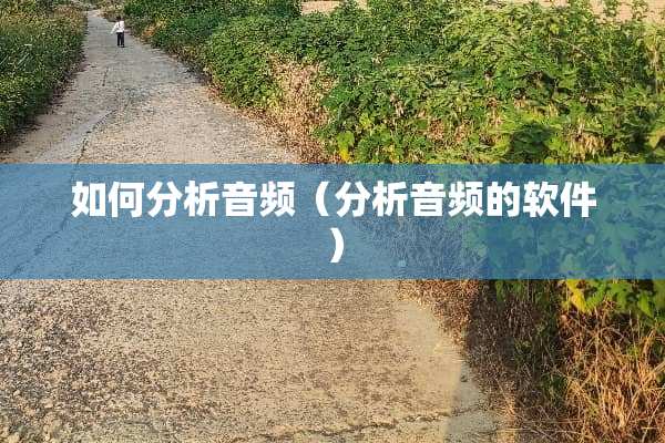 如何分析音频（分析音频的软件）