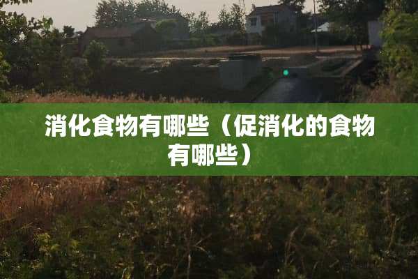 消化食物有哪些（促消化的食物有哪些）