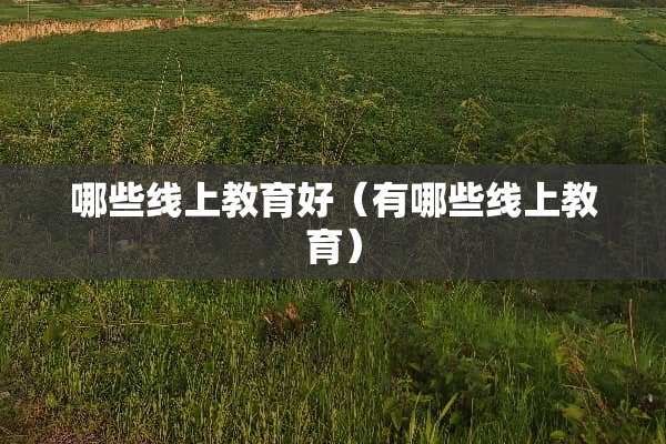 哪些线上教育好（有哪些线上教育）