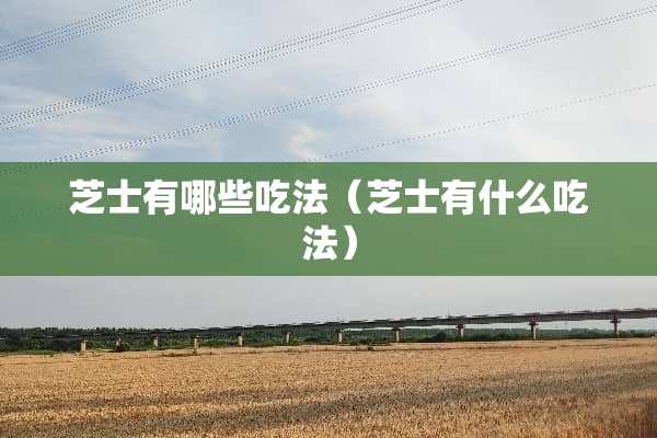 芝士有哪些吃法（芝士有什么吃法）
