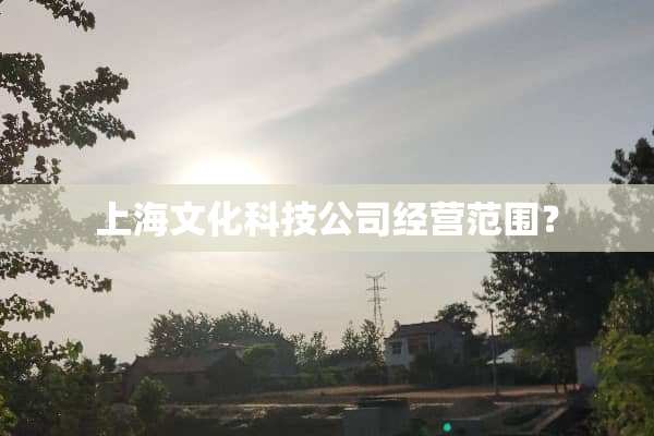 上海文化科技公司经营范围？