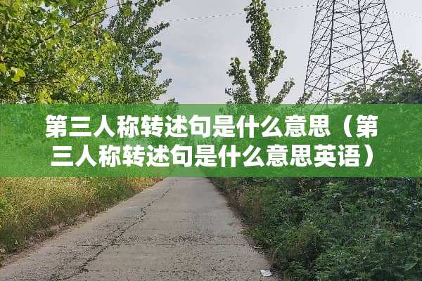 第三人称转述句是什么意思（第三人称转述句是什么意思英语）