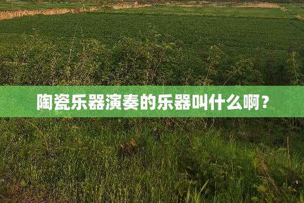 陶瓷乐器演奏的乐器叫什么啊？