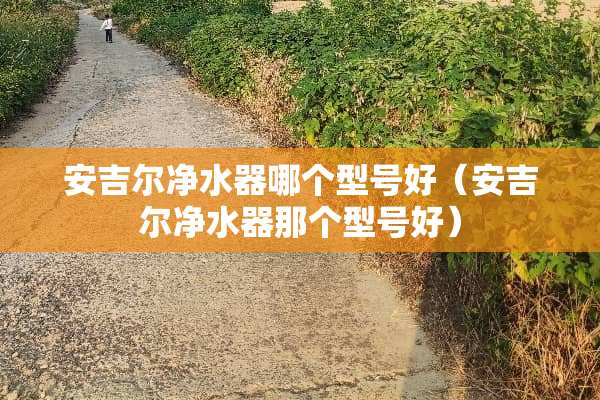 安吉尔***哪个型号好（安吉尔***那个型号好）