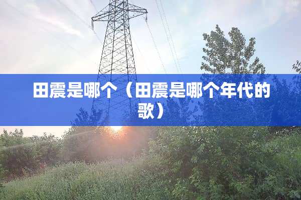 田震是哪个（田震是哪个年代的歌）