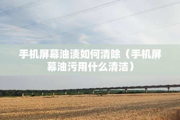 手机屏幕油渍如何清除（手机屏幕油污用什么清洁）