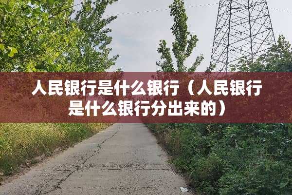 人民银行是什么银行（人民银行是什么银行分出来的）