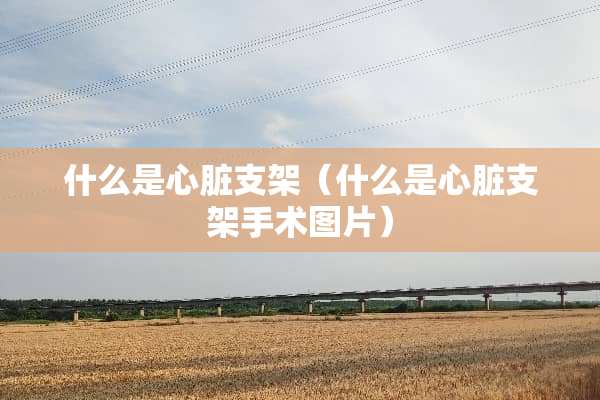 什么是心脏支架（什么是心脏支架手术图片）