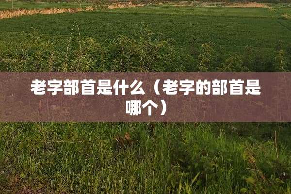老字部首是什么（老字的部首是哪个）