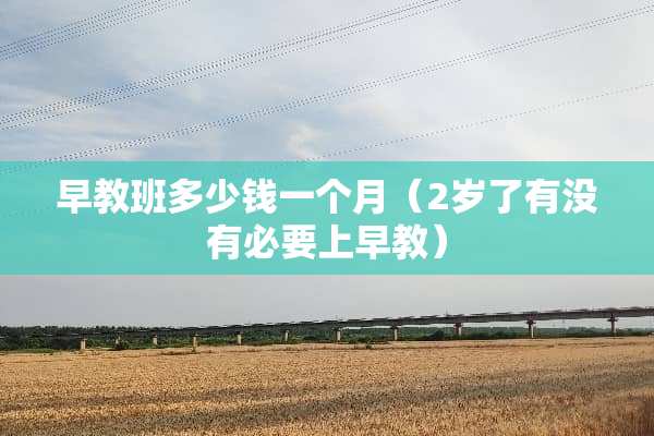 早教班多少钱一个月（2岁了有没有必要上早教）