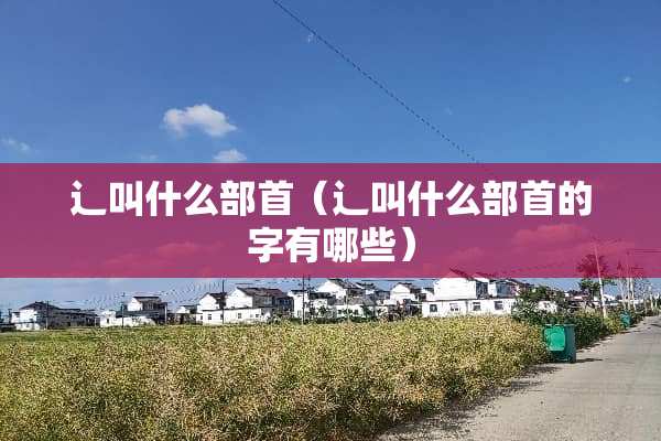 辶叫什么部首（辶叫什么部首的字有哪些）