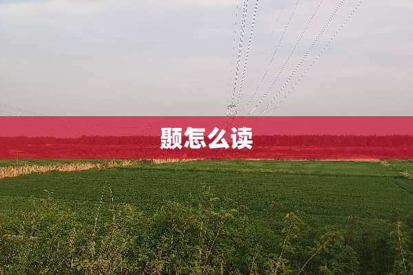 颞怎么读