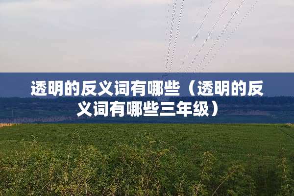透明的反义词有哪些（透明的反义词有哪些三年级）
