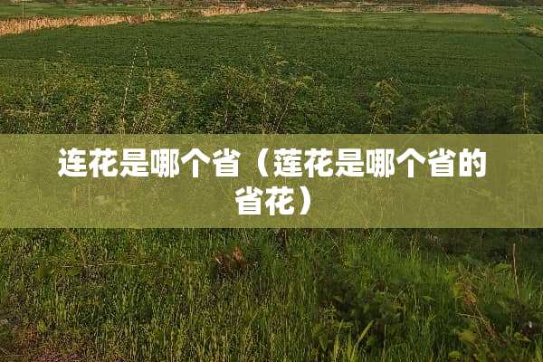 连花是哪个省（莲花是哪个省的省花）