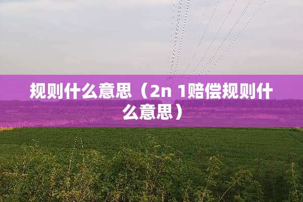 规则什么意思（2n 1赔偿规则什么意思）