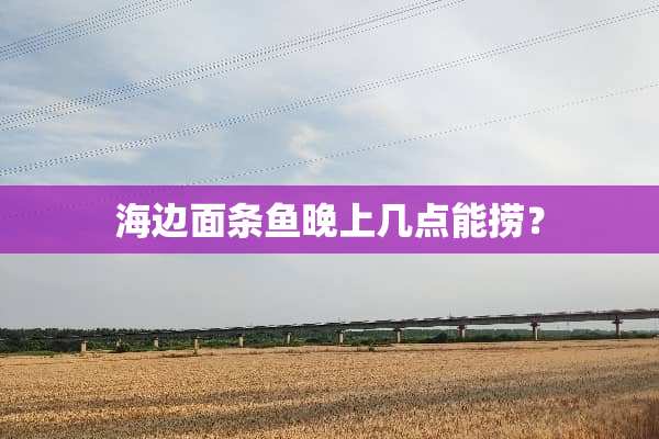 海边面条鱼晚上几点能捞？