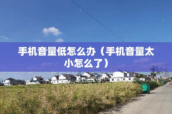手机音量低怎么办（手机音量太小怎么了）