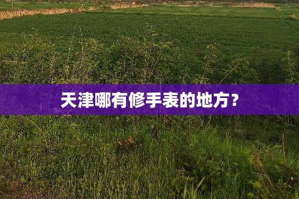 天津哪有修手表的地方？