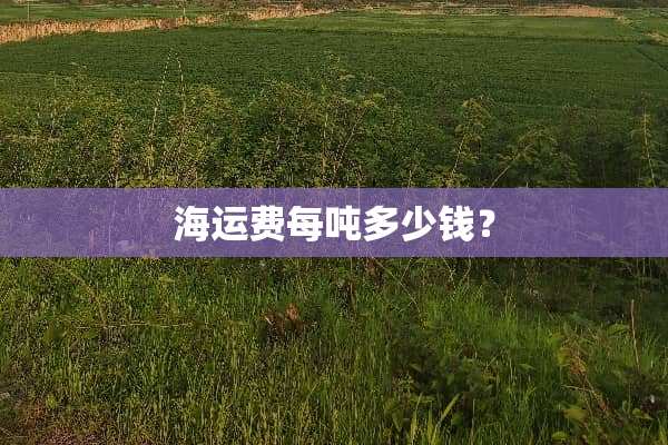 海运费每吨多少钱？