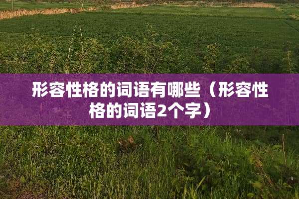 形容性格的词语有哪些（形容性格的词语2个字）