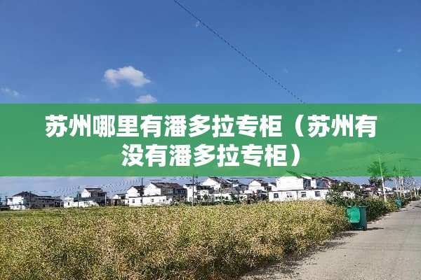 苏州哪里有潘多拉专柜（苏州有没有潘多拉专柜）