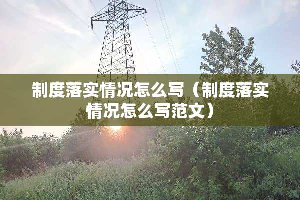 制度落实情况怎么写（制度落实情况怎么写范文）