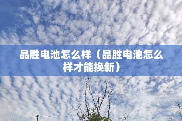 品胜电池怎么样（品胜电池怎么样才能换新）