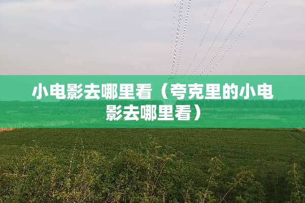 小电影去哪里看（夸克里的小电影去哪里看）