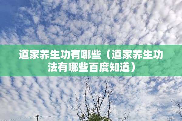 道家养生功有哪些（道家养生**有哪些百度知道）