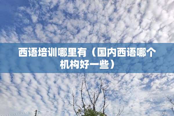 西语培训哪里有（国内西语哪个机构好一些）