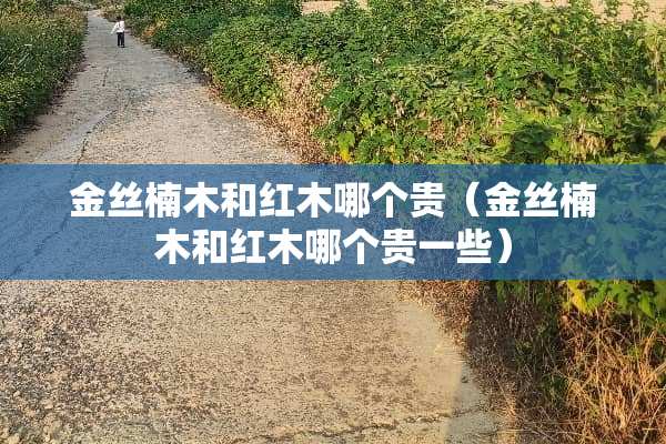 金丝楠木和红木哪个贵（金丝楠木和红木哪个贵一些）