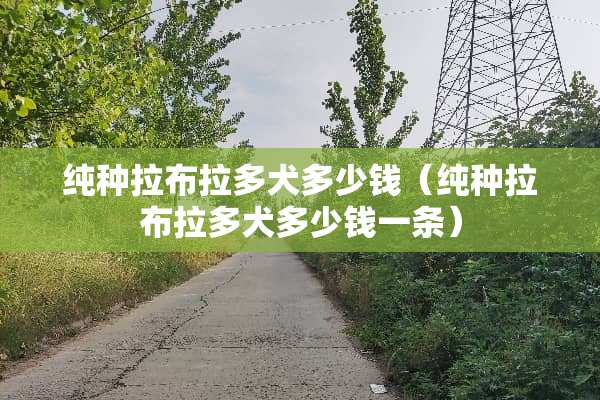 纯种拉布拉多犬多少钱（纯种拉布拉多犬多少钱一条）