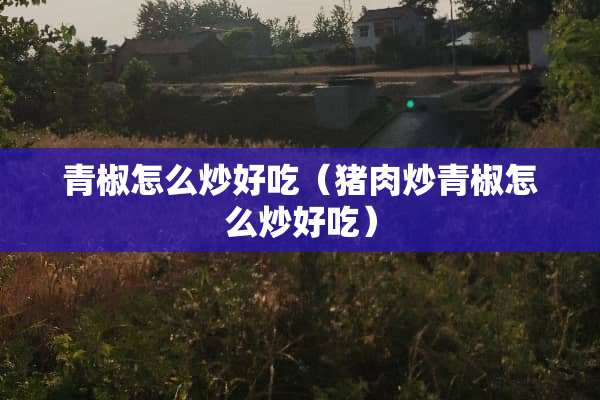 青椒怎么炒好吃（猪肉炒青椒怎么炒好吃）